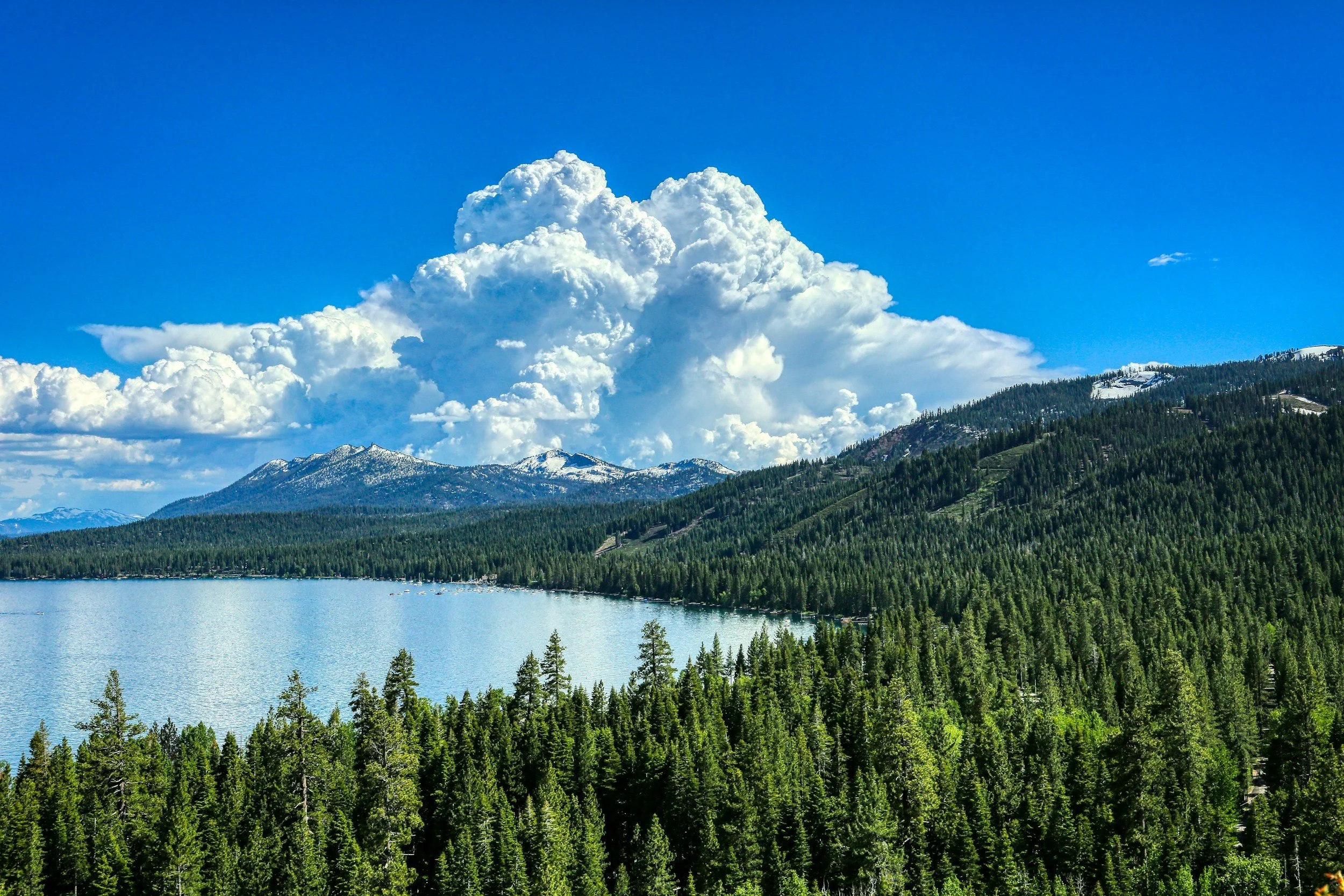 Scenic landscape with a large lake, a forested area, mountain range, and a bright blue sky with cumulus clouds.