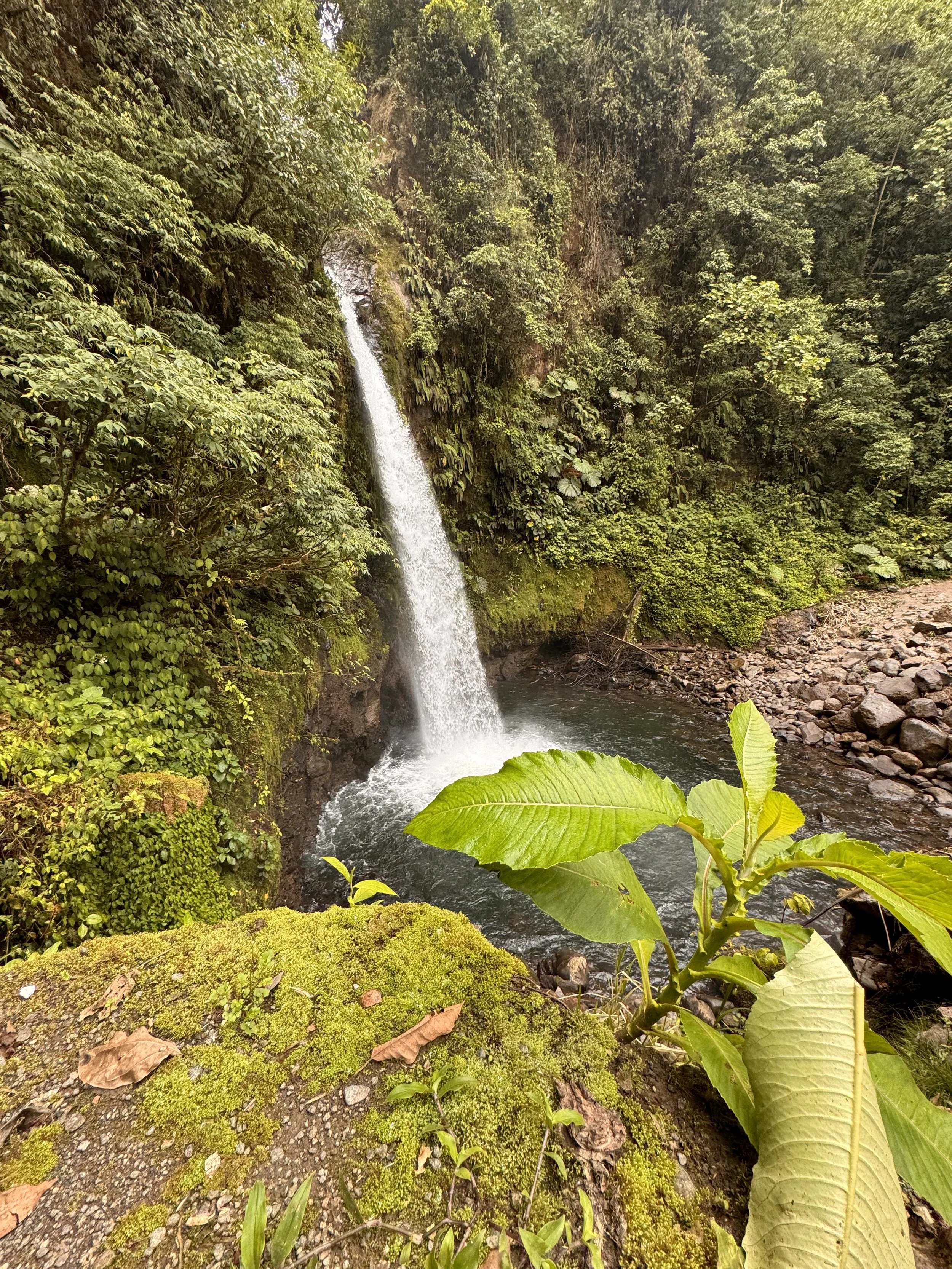 Waterfall into a small pond in Costa Rica