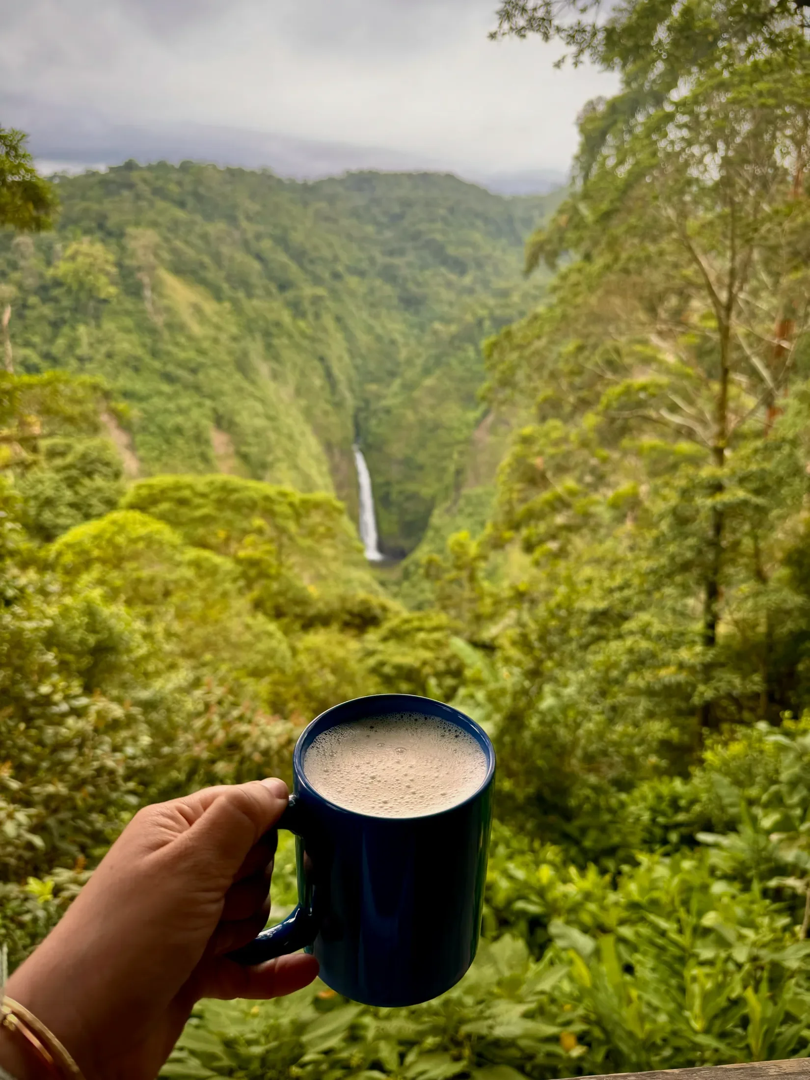 Coffee and a waterfall in Costa Rica