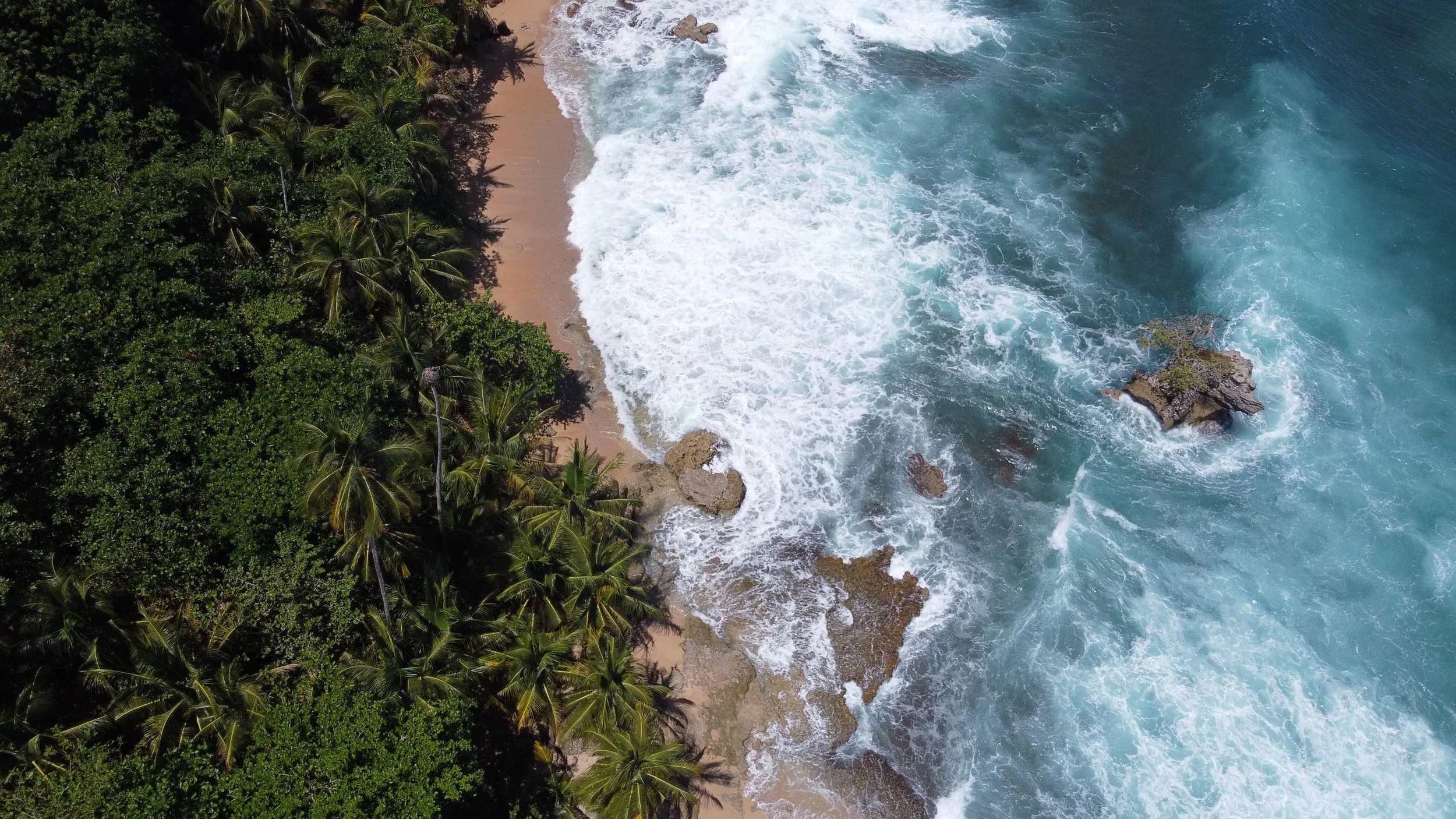 Aerial view of a tropical beach with green palm trees and dense vegetation on the left, sandy shoreline, and blue ocean waves crashing onto rocks and the shore in Costa Rica