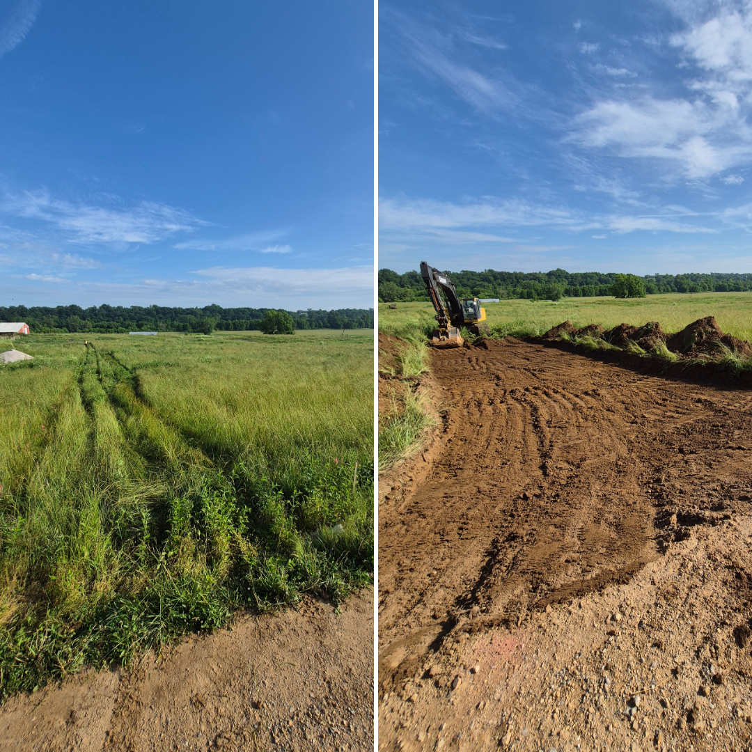 Before & After Photos (3).png