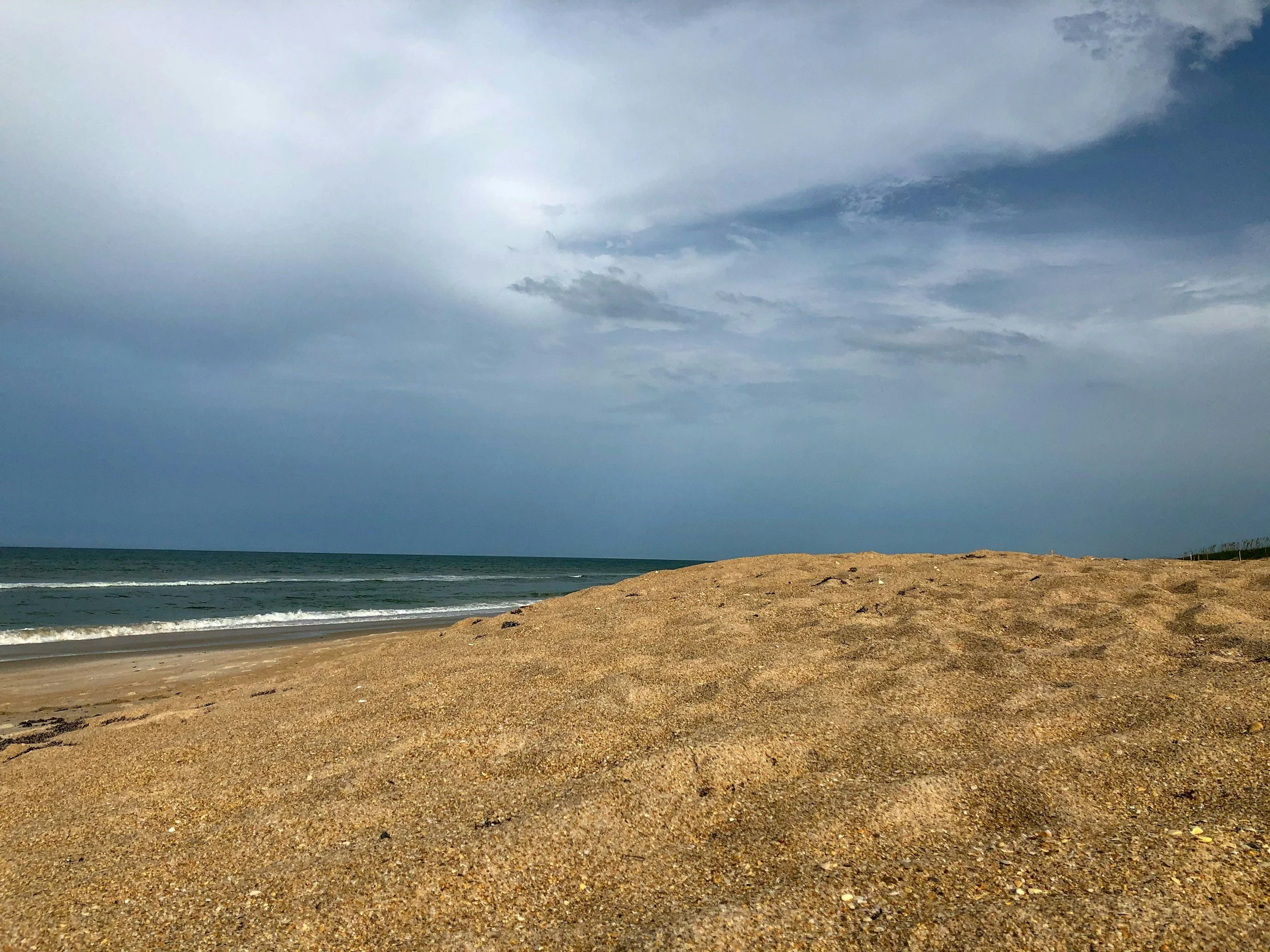 canaveral national seashore