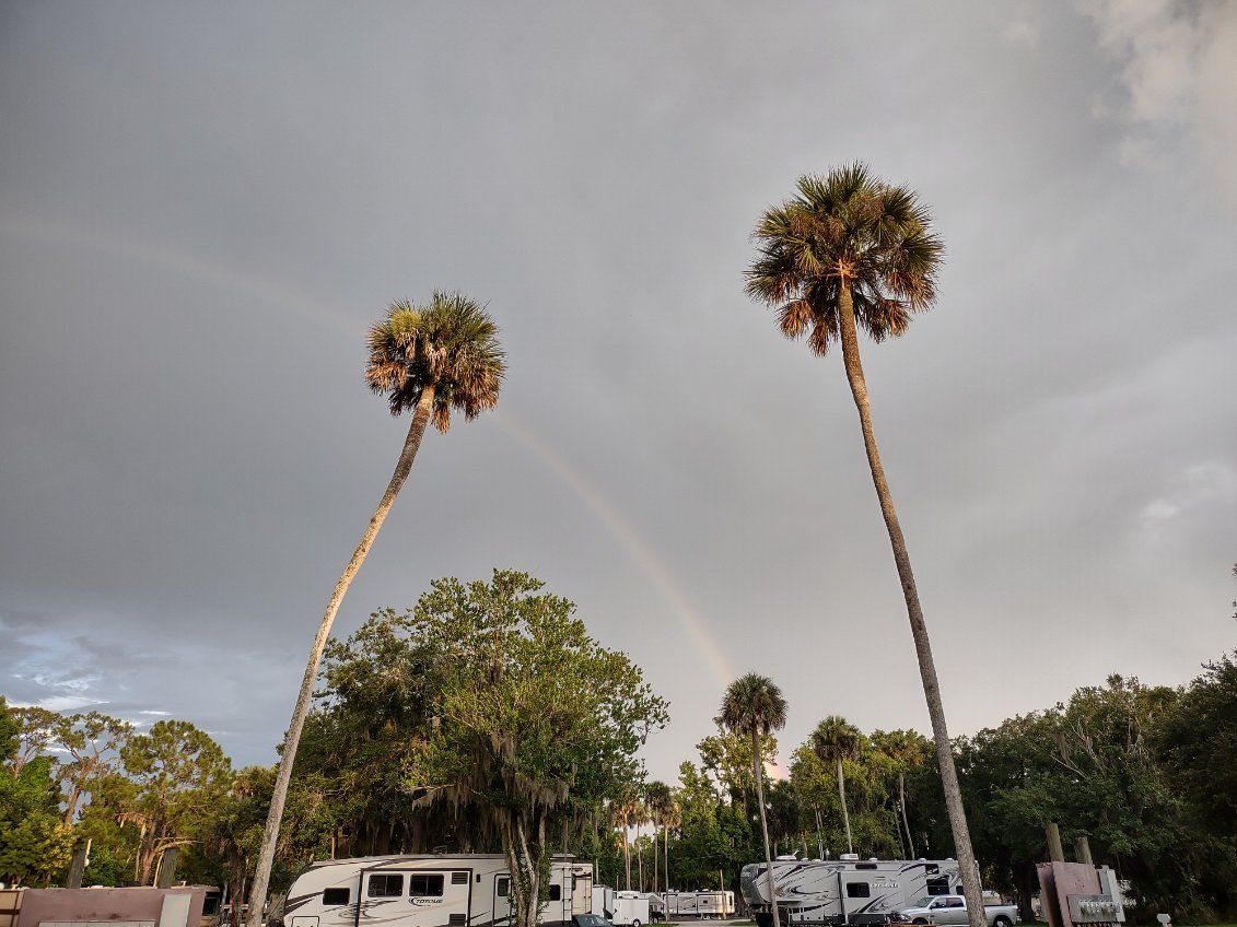 Tropical scene with two tall palm trees, several smaller palm trees, green trees, parked RVs, and a faint rainbow in a cloudy sky.