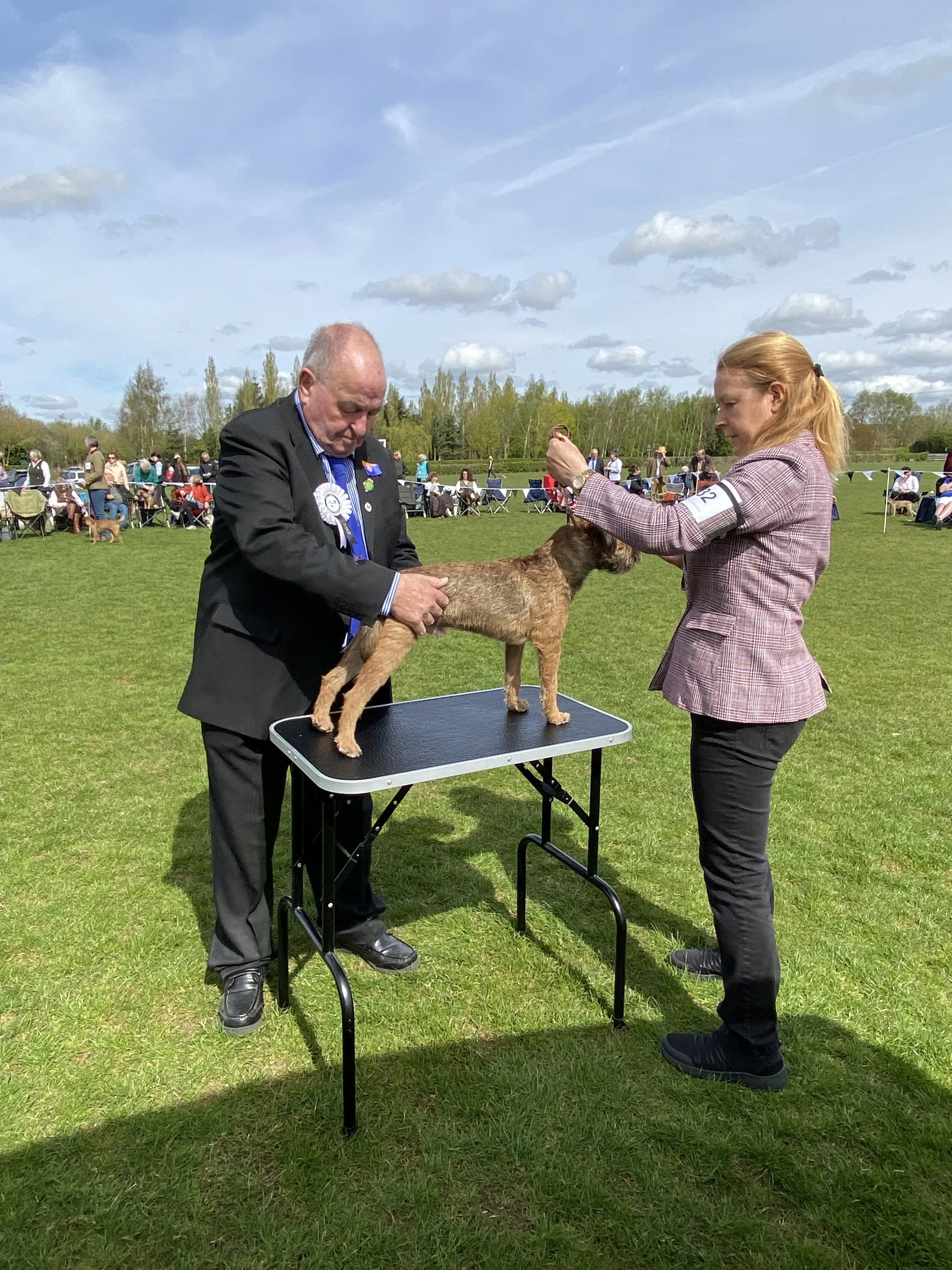 EAST ANGLIA BORDER TERRIER CLUB – JUDGES LIST 2026