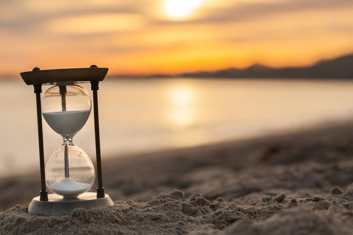 The Private Equity (PE) Investor and Strategy Debt