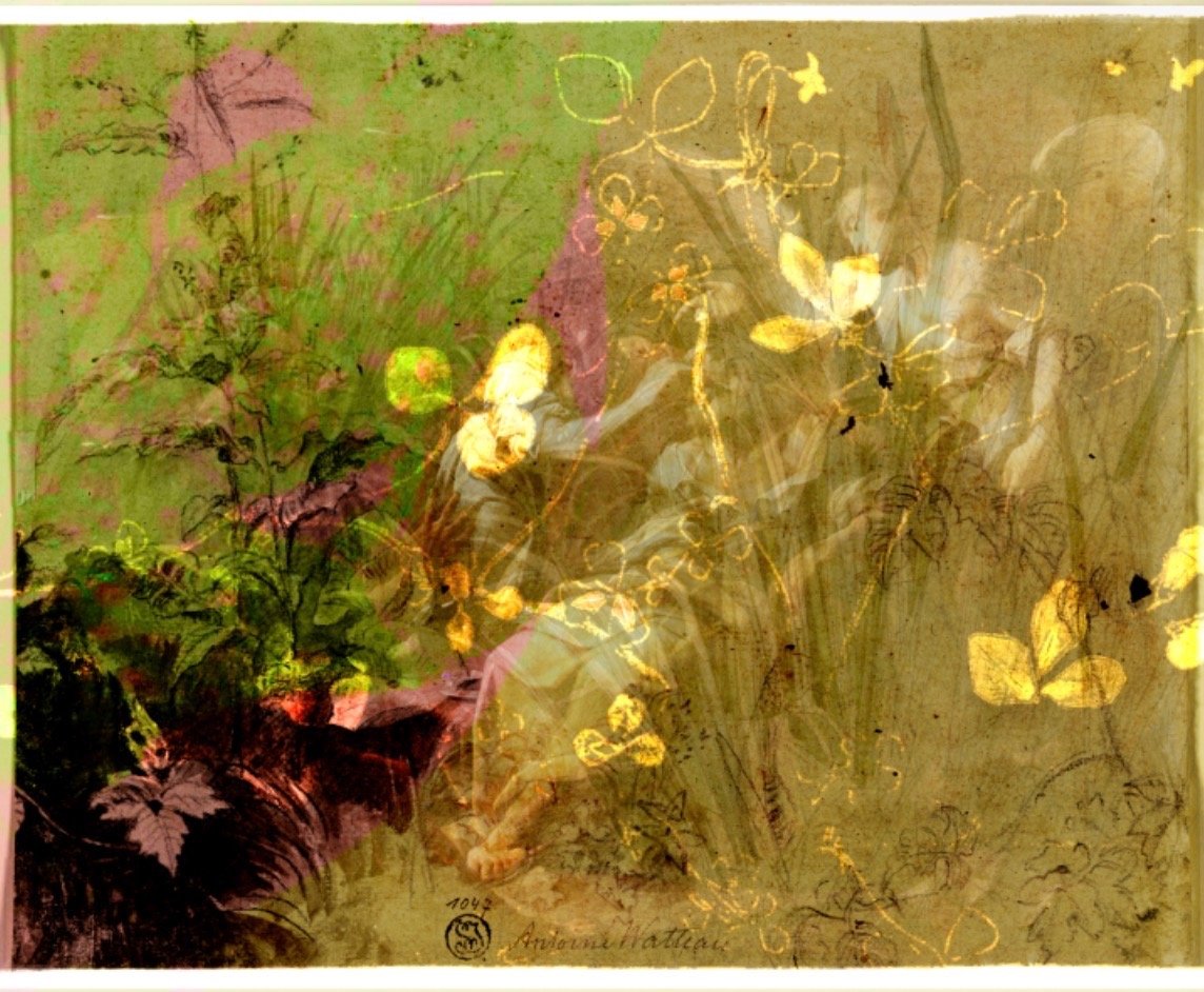 A layered image with a background of green, purple, and brown colors featuring sketches of flowers and butterflies, with some gold-colored outlines of butterflies and floral patterns overlaid.