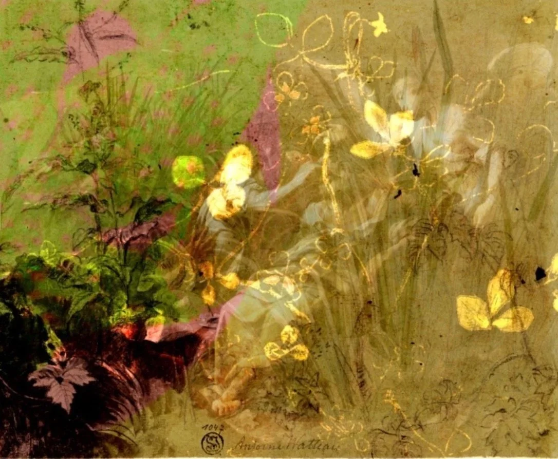 Layered artwork with floral and butterfly sketches, combined with colorful paint splashes and abstract elements.