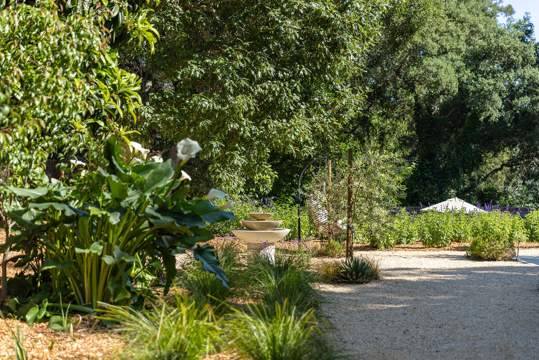 A lush garden with various green plants, trees, a tiered fountain in the center, and a gravel pathway surrounded by flowering bushes and small trees. A white umbrella is visible in the background.