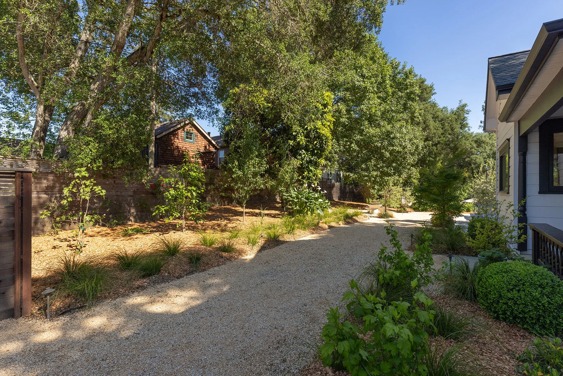 A landscaped backyard with small trees, shrubs, and plants along a gravel pathway, bordered by a wooden fence and a white house with black window trim under a clear blue sky.