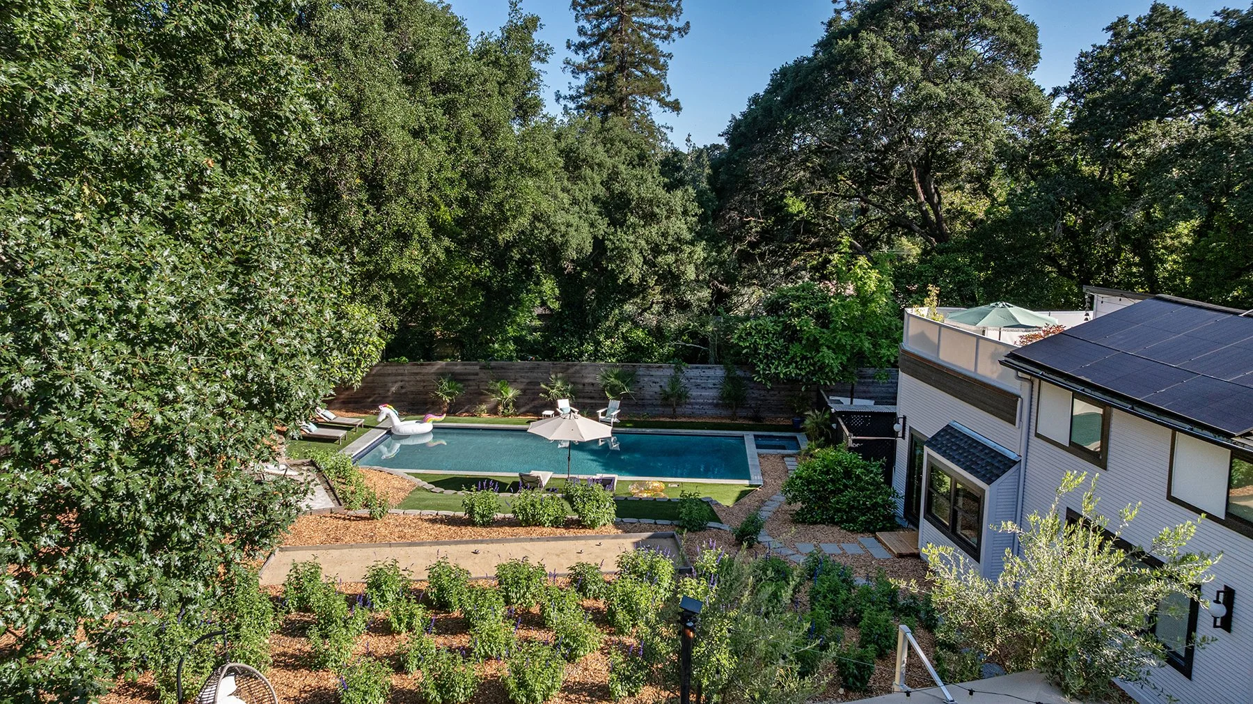 A backyard with a swimming pool surrounded by trees and plants, including a paddle-shaped pool float, umbrellas, and outdoor seating, adjacent to a modern house with solar panels on the roof.