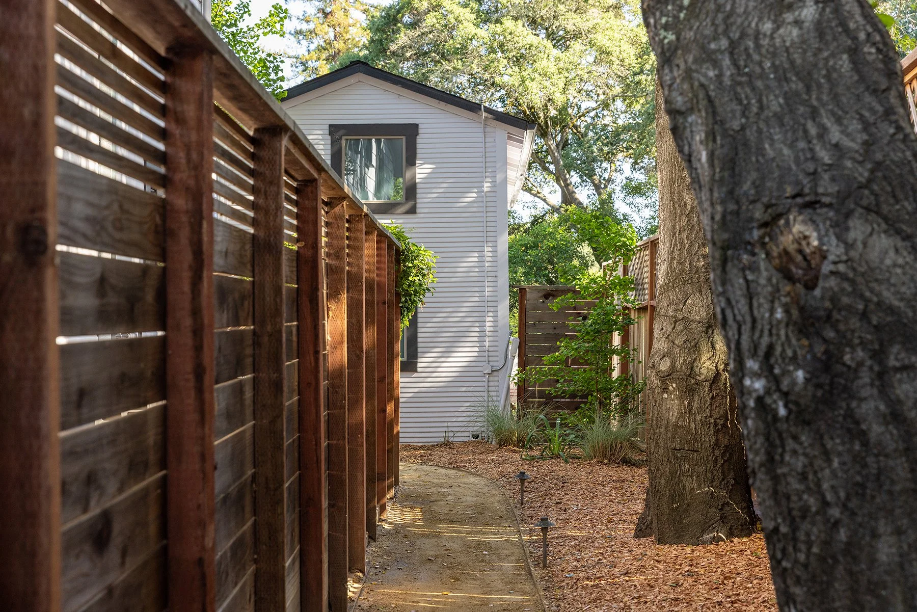 Backyard alley with a white house, wooden fences on both sides, large tree trunk in the foreground, and trees with green leaves in the background.