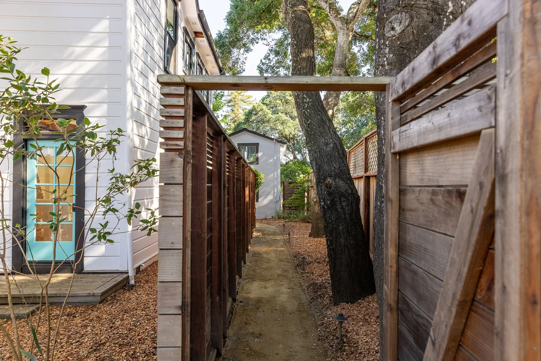 A narrow backyard walkway flanked by wooden fences, with a large tree leaning into the space and a white house with a turquoise door visible on the left side, surrounded by greenery and trees.