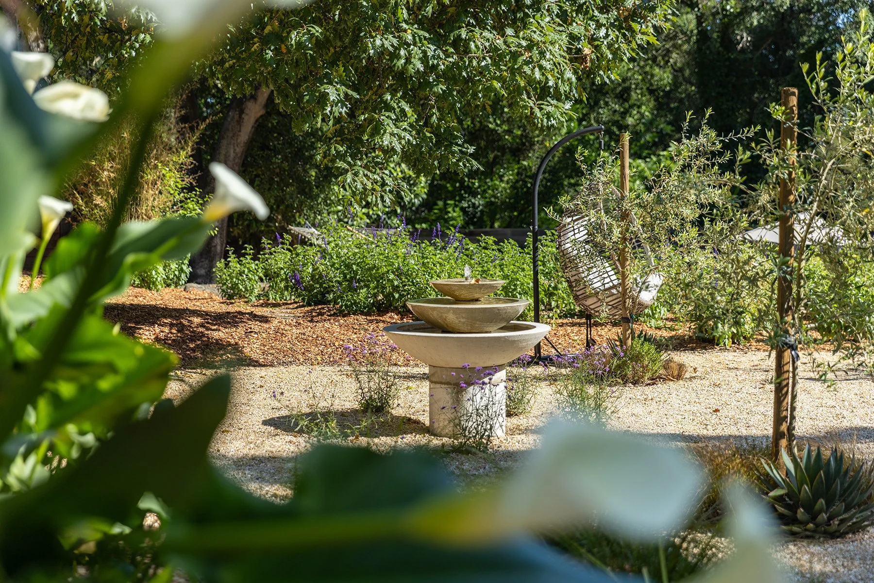 A garden scene with a outdoor water fountain, plants, trees, and a watering can, seen through green foliage in the foreground.