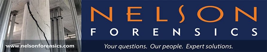 Nelson Forensics logo