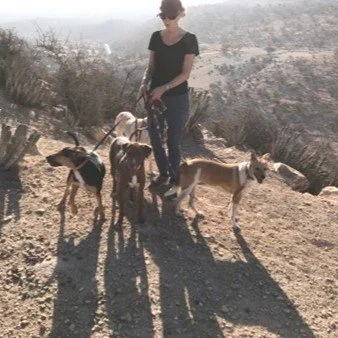 Woman walking four goats on a dirt trail in a dry, hilly landscape.