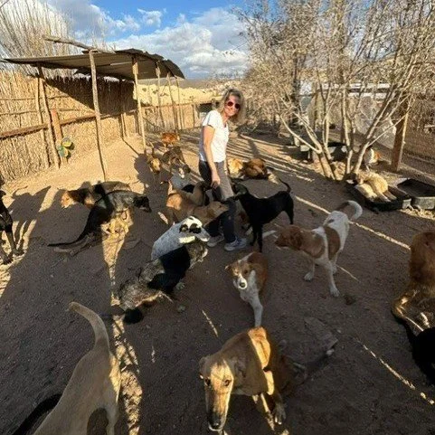 Woman standing outdoors surrounded by multiple dogs of various breeds and sizes, in a dog play area with a dirt ground, trees, and a wooden fence.