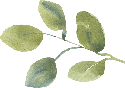 Rameau de feuilles vertes