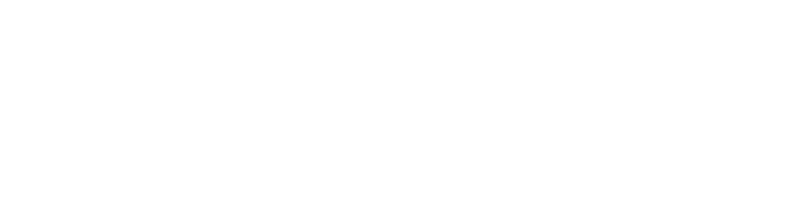 Une illustration de bordure florale avec deux fleurs stylisées, feuilles et lignes blanches sur fond noir.