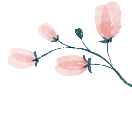 Illustration stylisée d'une libellule avec des ailes roses et un corps bleu foncé.