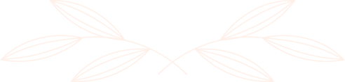 Illustration de branches de laurier ou de feuilles d'arbre stylisées en blanc sur fond noir