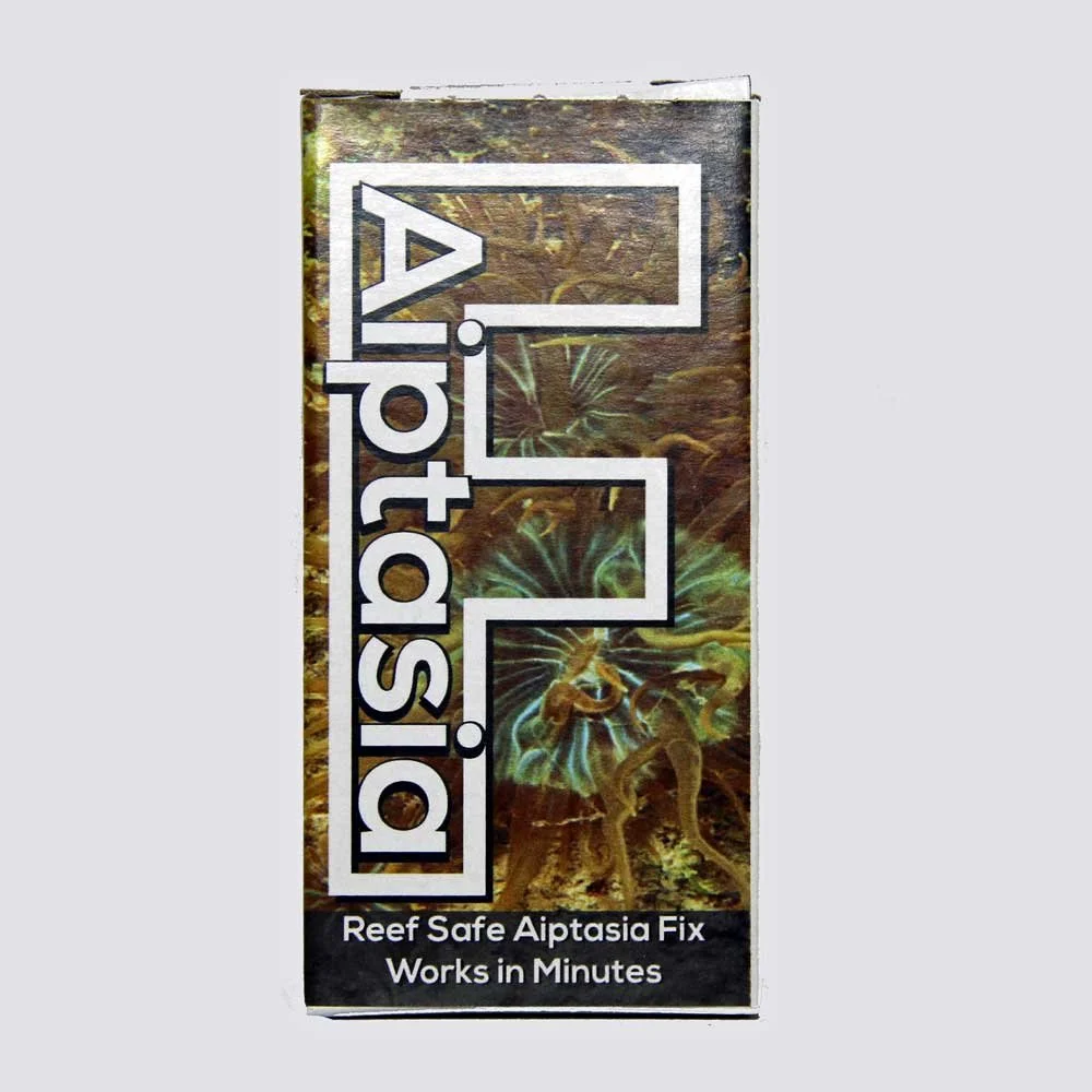Battling Aiptasia: A Guide to Eliminating Aiptasia