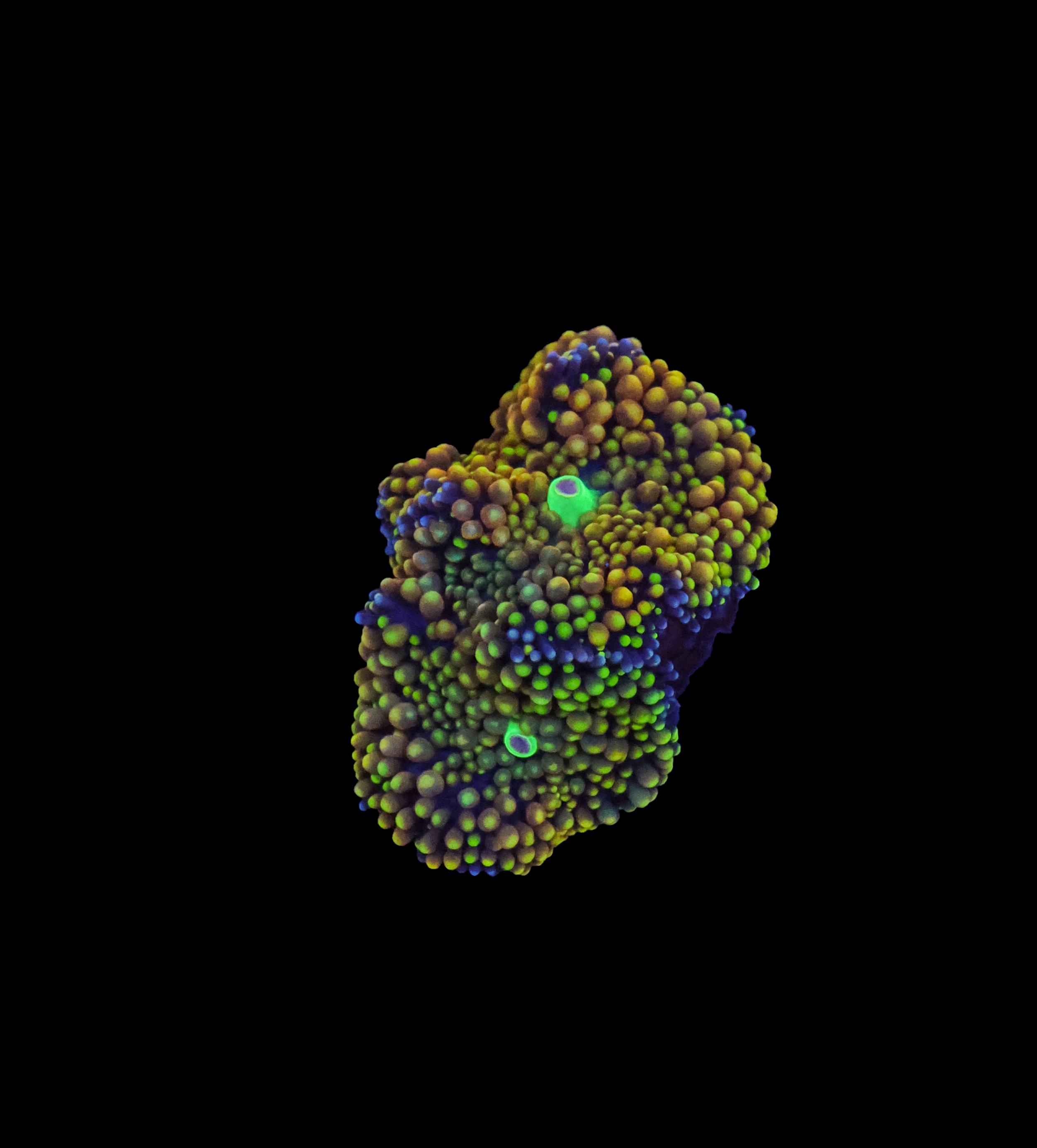 556A0573.png