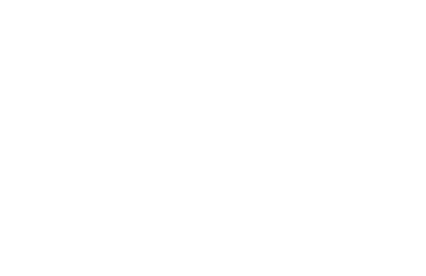 STT Capital