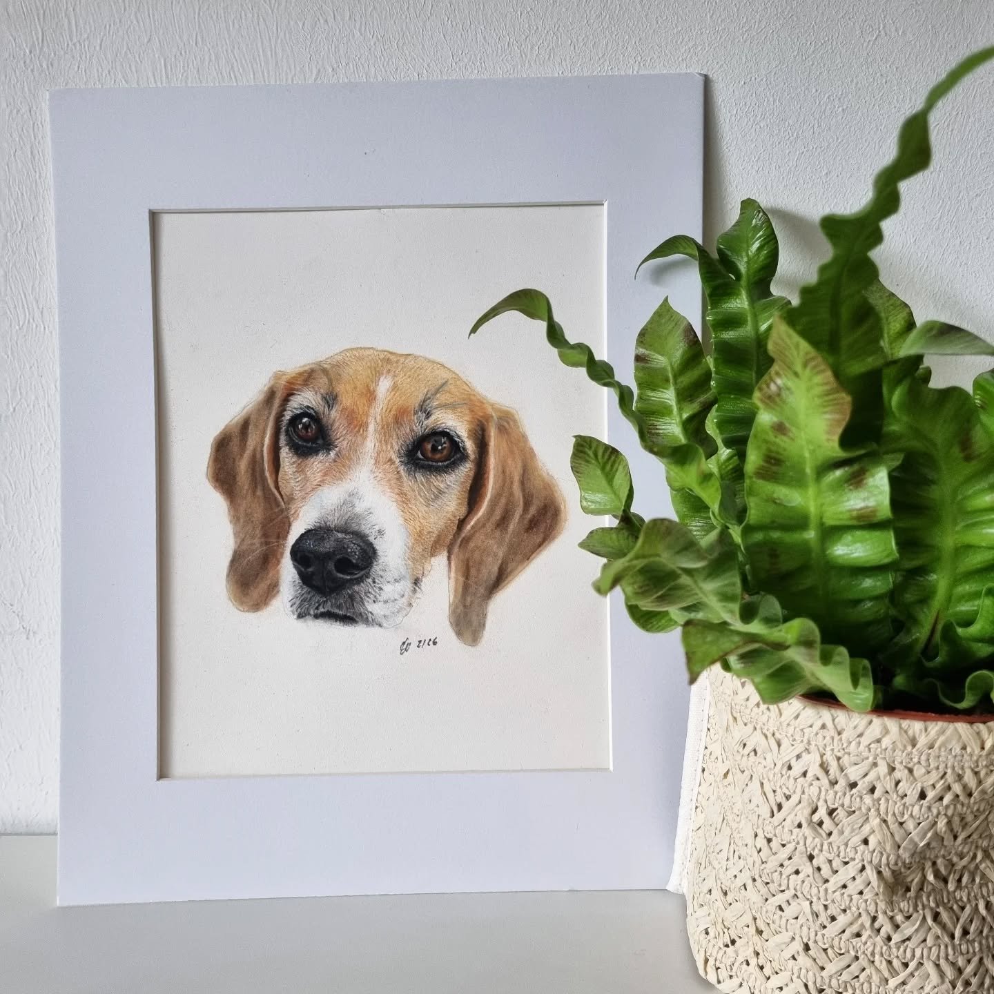Meet Paula 🩷 The birthday gift I kept under wraps since last month #petportrait #beagle #artoftheday