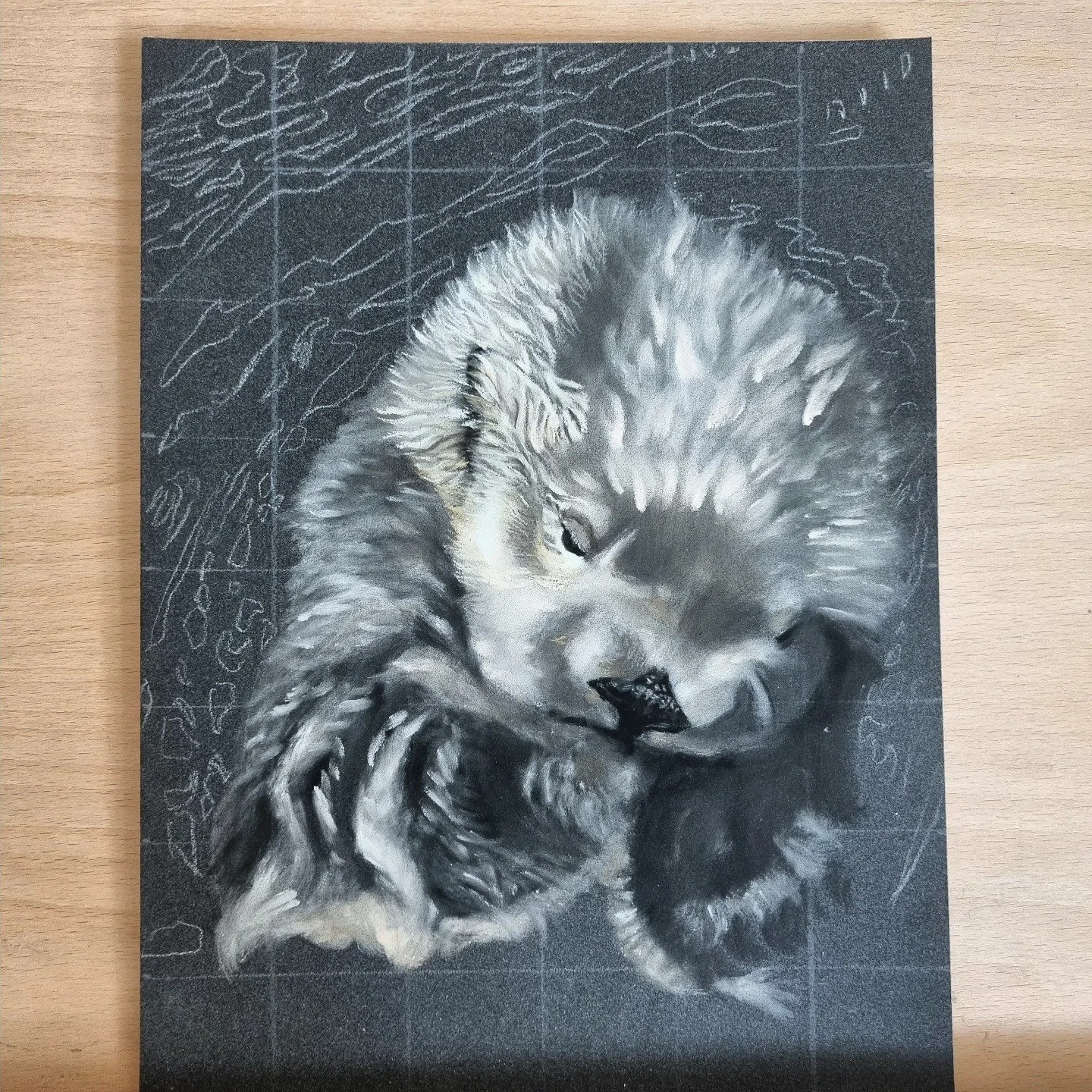 Having fun drawing this sweet little sea otter 
Thanks @madalina.buciuman for the reference photo! 🤍

#pastelpencils #art #realism #animalart #otter #seaotter #cute