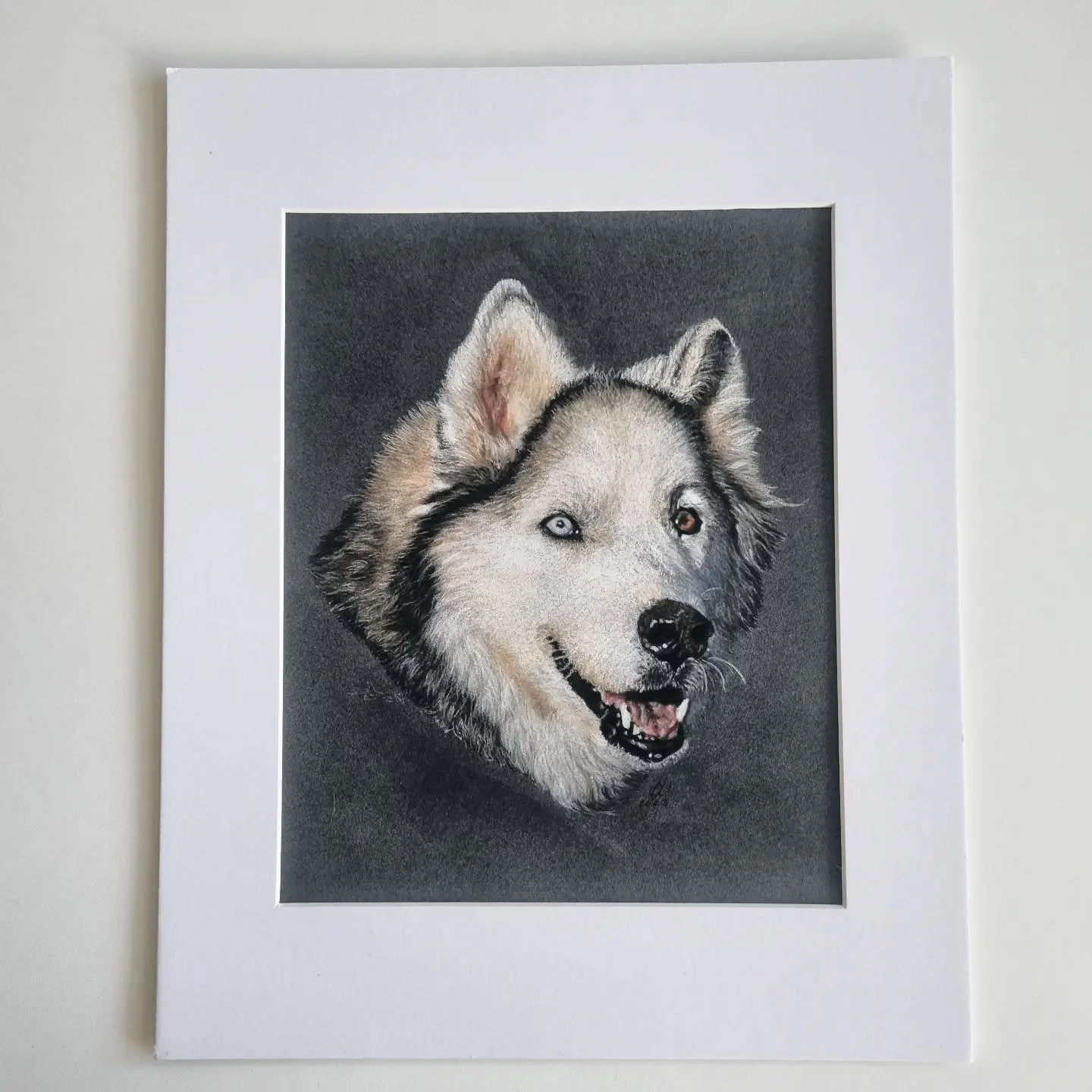 Last drawing of 2023 and first post of 2024 💥

#art #petportrait #pastelpencils #pastelpencildrawing #pencildrawing #husky #huskydrawing #huskyportrait #heterochromia #dogart #dogs #lovedogs #dogsofinstagram #instaart #artpost