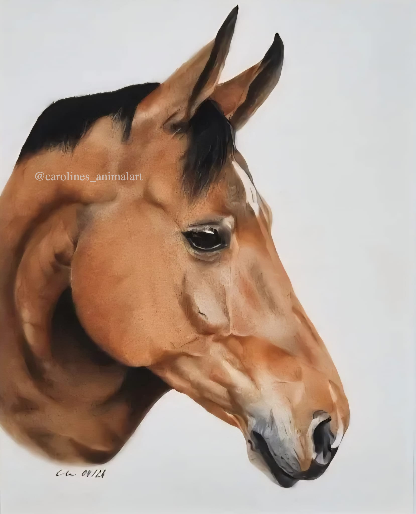 Medium Pastel Drawing