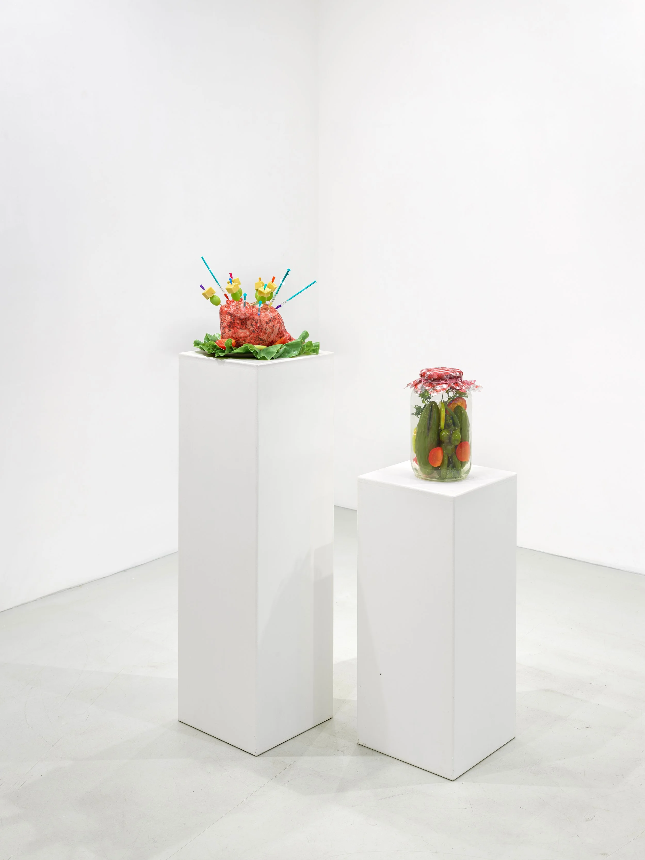 Ivana Vladislava, Inner Beauty is for Ugly People, Installation View, Robert Grunenberg, Berlin, 2026