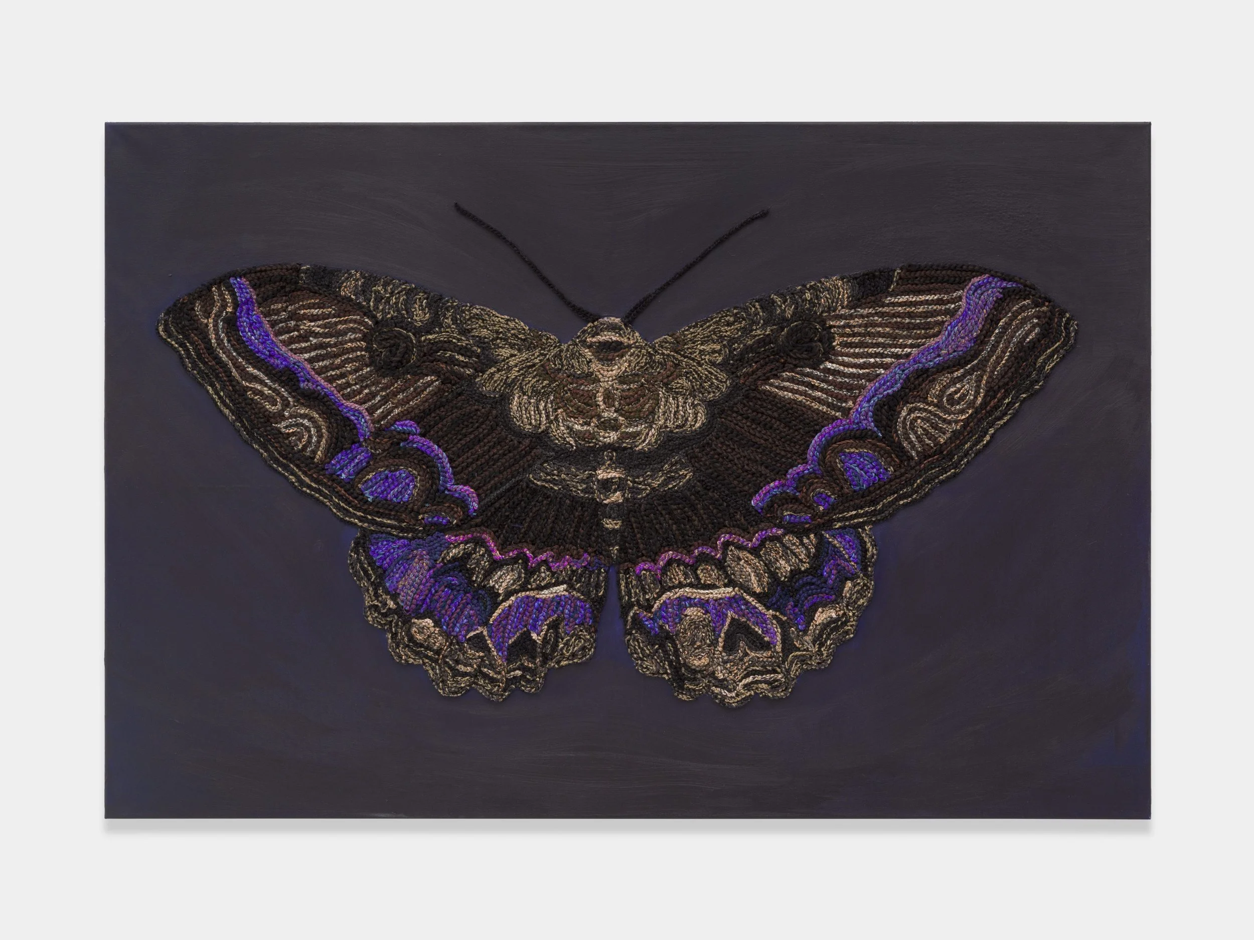 Kensise Anders,
Transformation, 2025,
Acrylic and cotton crochet threads on canvas
311/2 x 47 1/4 in,
80 x 120 cm