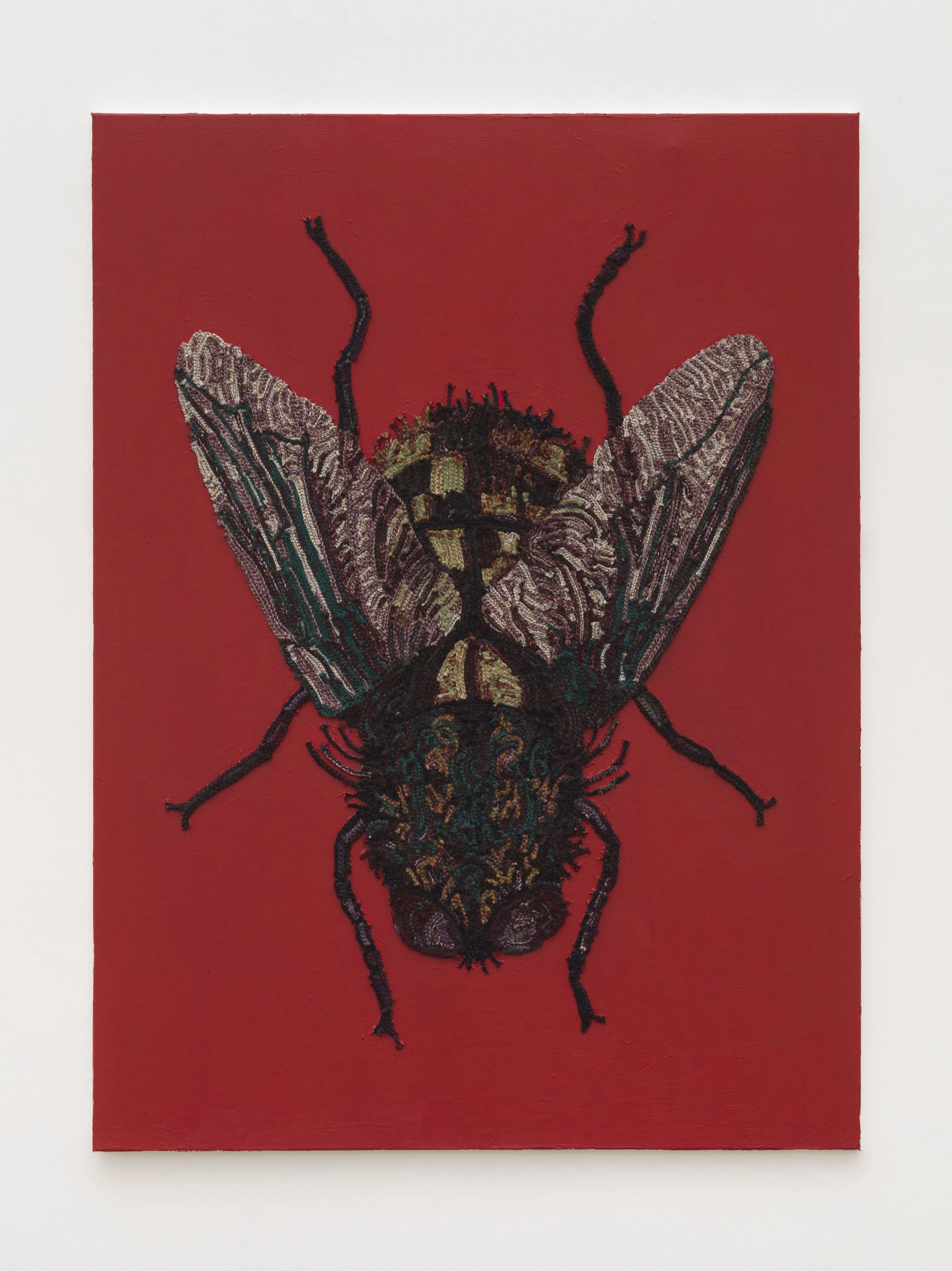 Kensise Anders,
Und die Fliege, 2023,
Crocheted effect yarn, acrylic yarn, acrylic on canvas, 135 × 100 cm