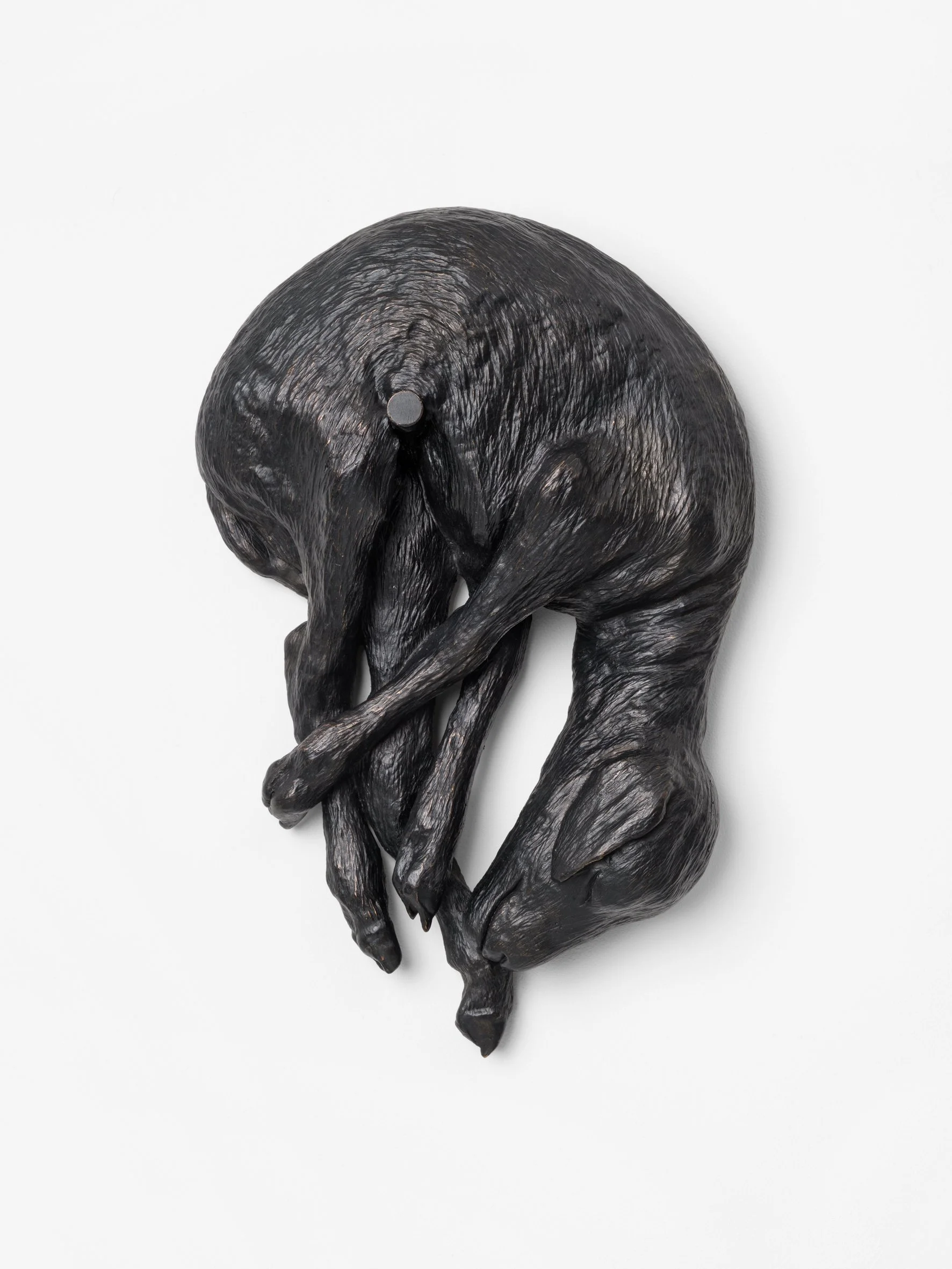 Stefan Knauf,
Lamm/hängend, 2025,
Bronze cast,
14 1/8 x 9 x 3 1/2 in,
36 x 23 x 9 cm,
6,5 kg,
8 + 4 AP