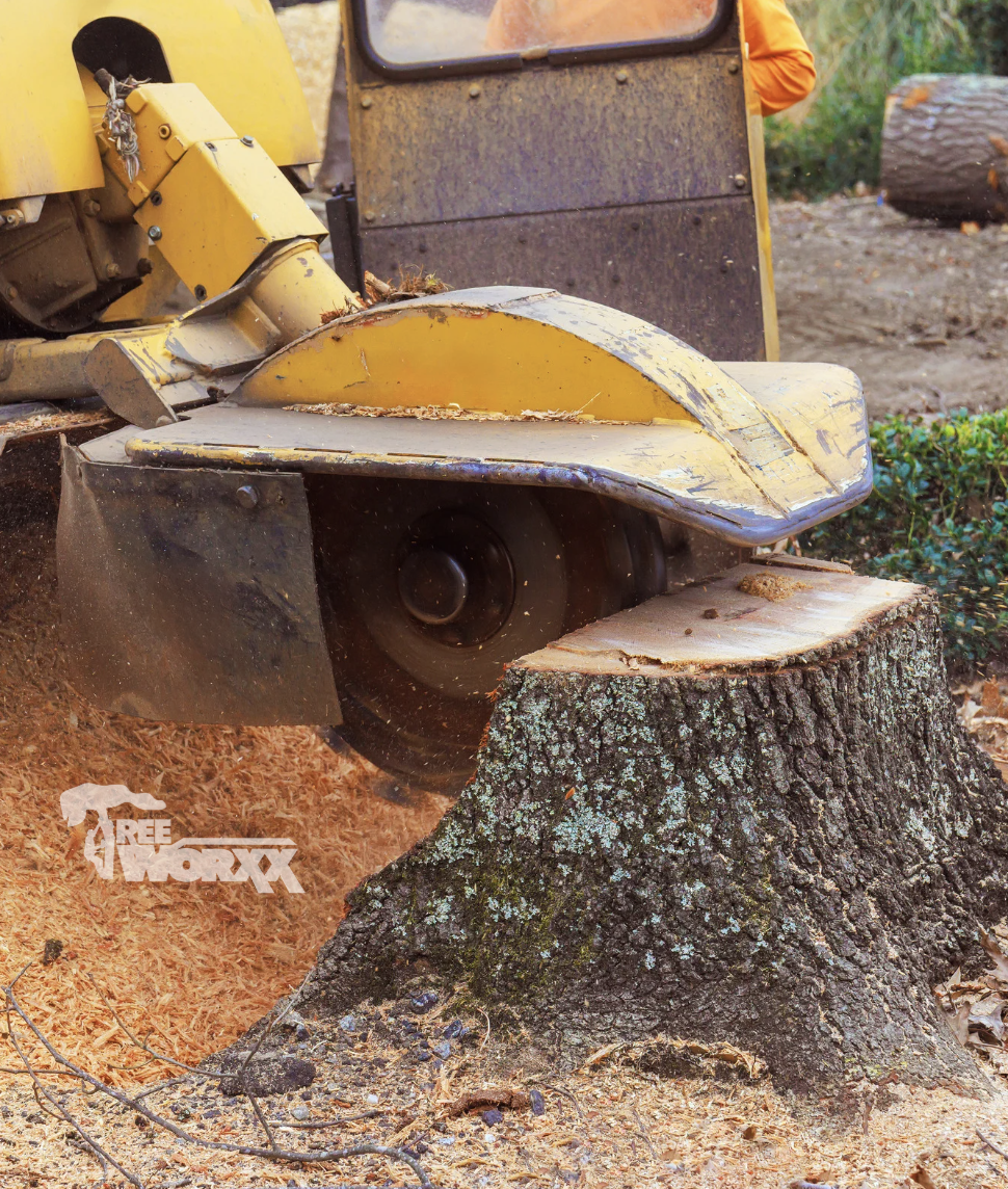 A yellow wood-cutting machine cutting through a large tree stump with a chainsaw blade, surrounded by log debris in an outdoor setting.