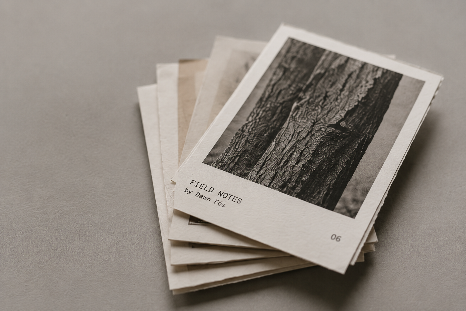 Stack of black and white photographs with one titled 'Field Notes' and an image of tree bark on the front.