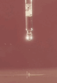 May-18-2026 21-00-31.gif