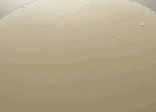 May-20-2026 12-34-30.gif