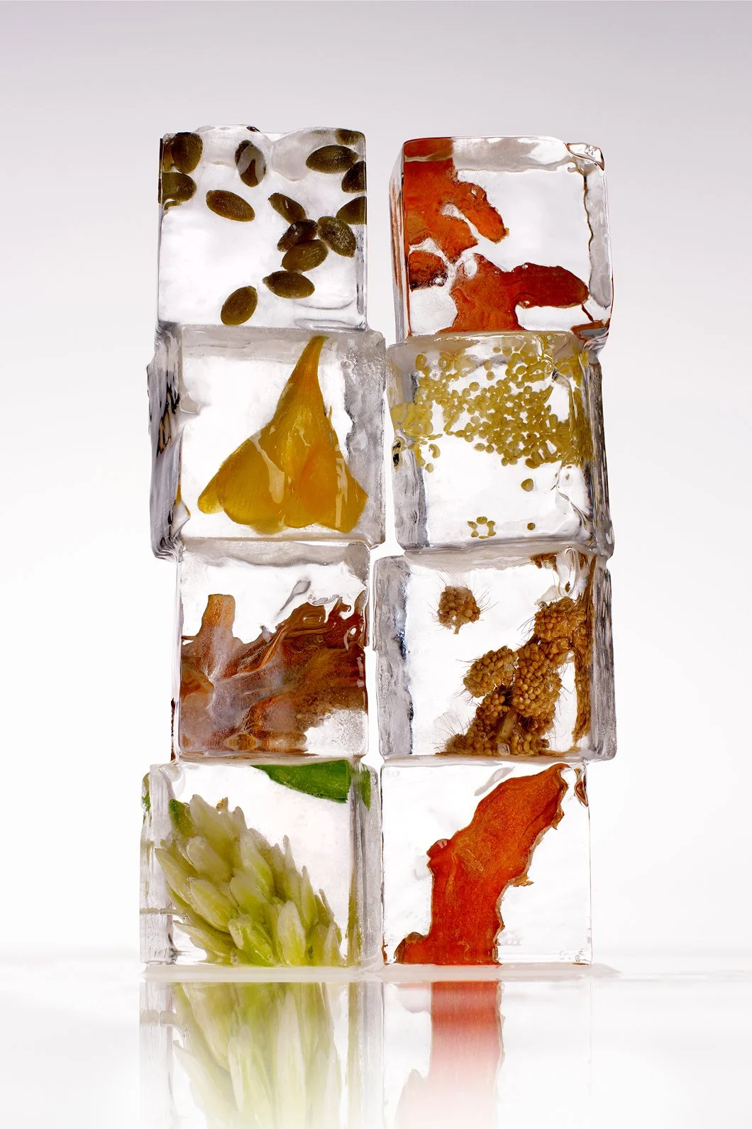 SUPPLEMENTS_INGREDIENTS_ICED_BROOKE_SHANESY_0349-V3 copy.jpg