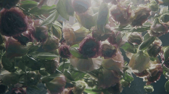 May-20-2026 13-59-26.gif