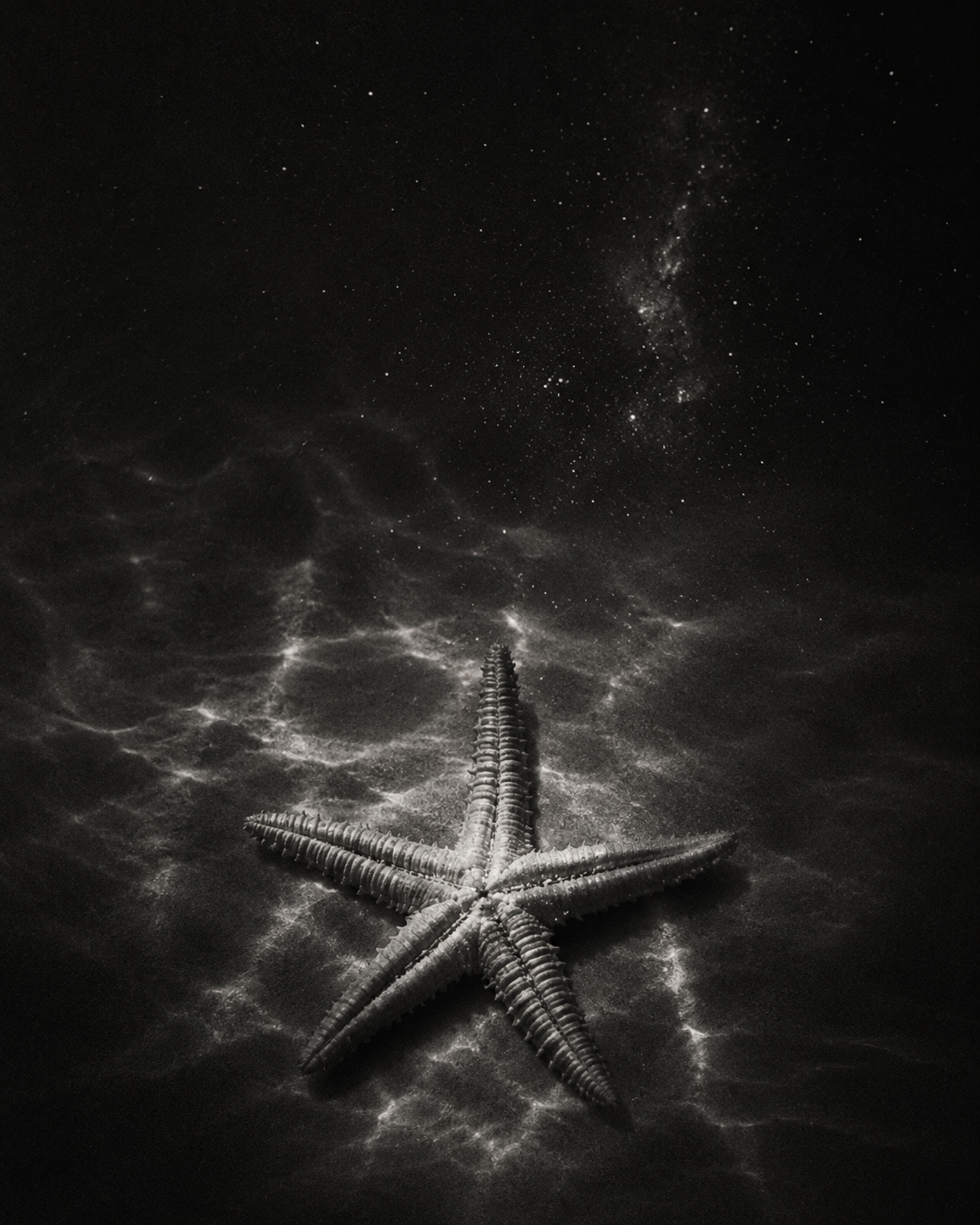 A starfish on a sandy surface with the Milky Way galaxy visible in the night sky.