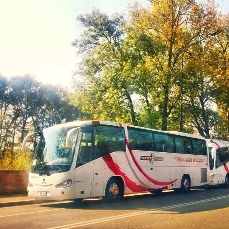 Viaggi turistici, trasporto scolastico e linee media percorrenza