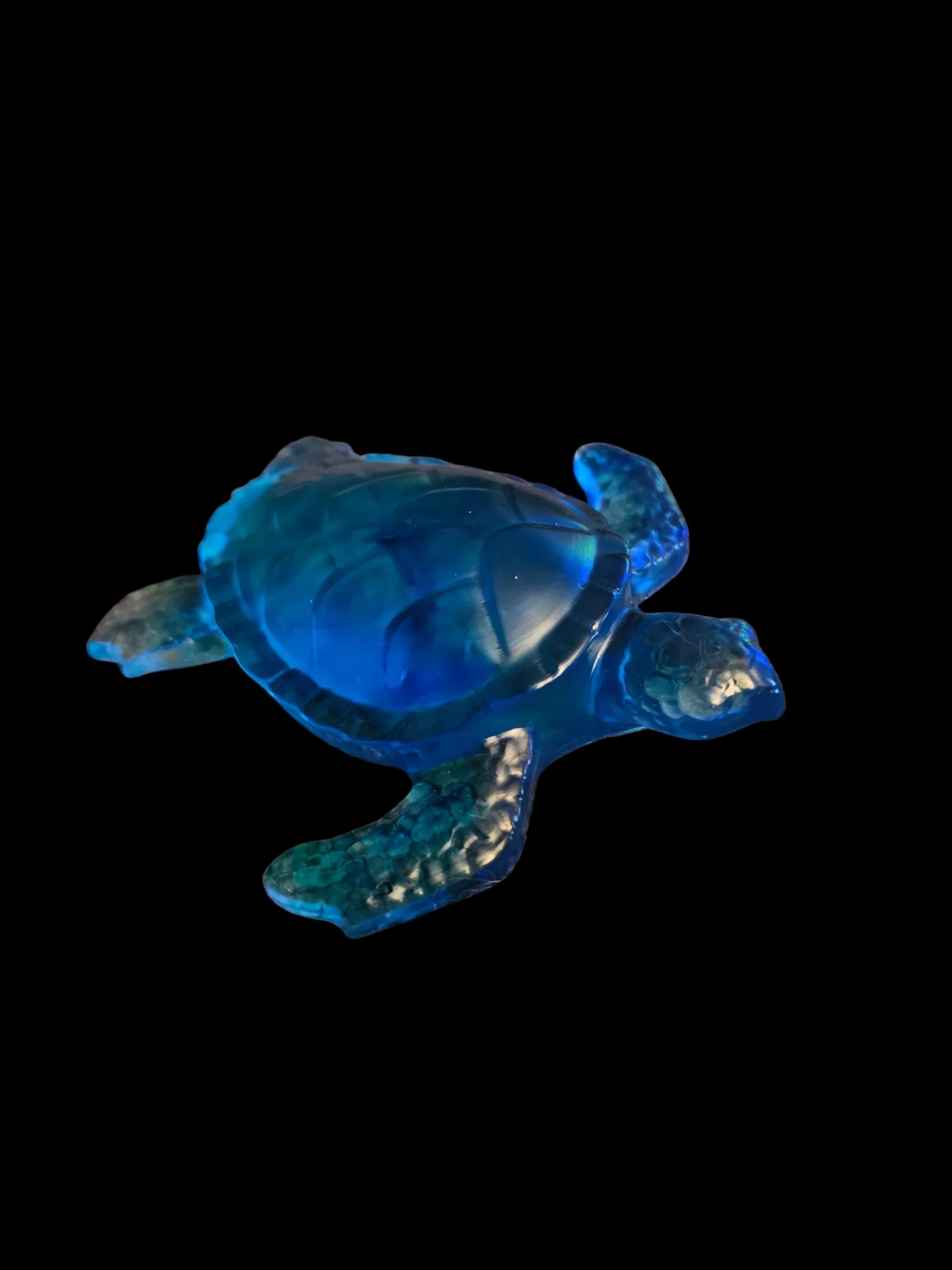 NEW PRODUCT – Sea Turtle