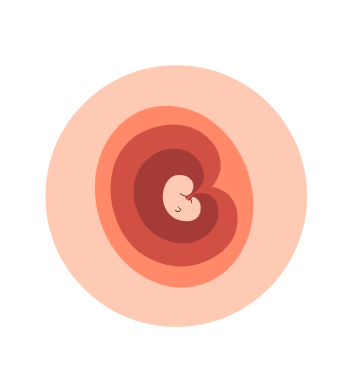 What’s Normal in the First Trimester?