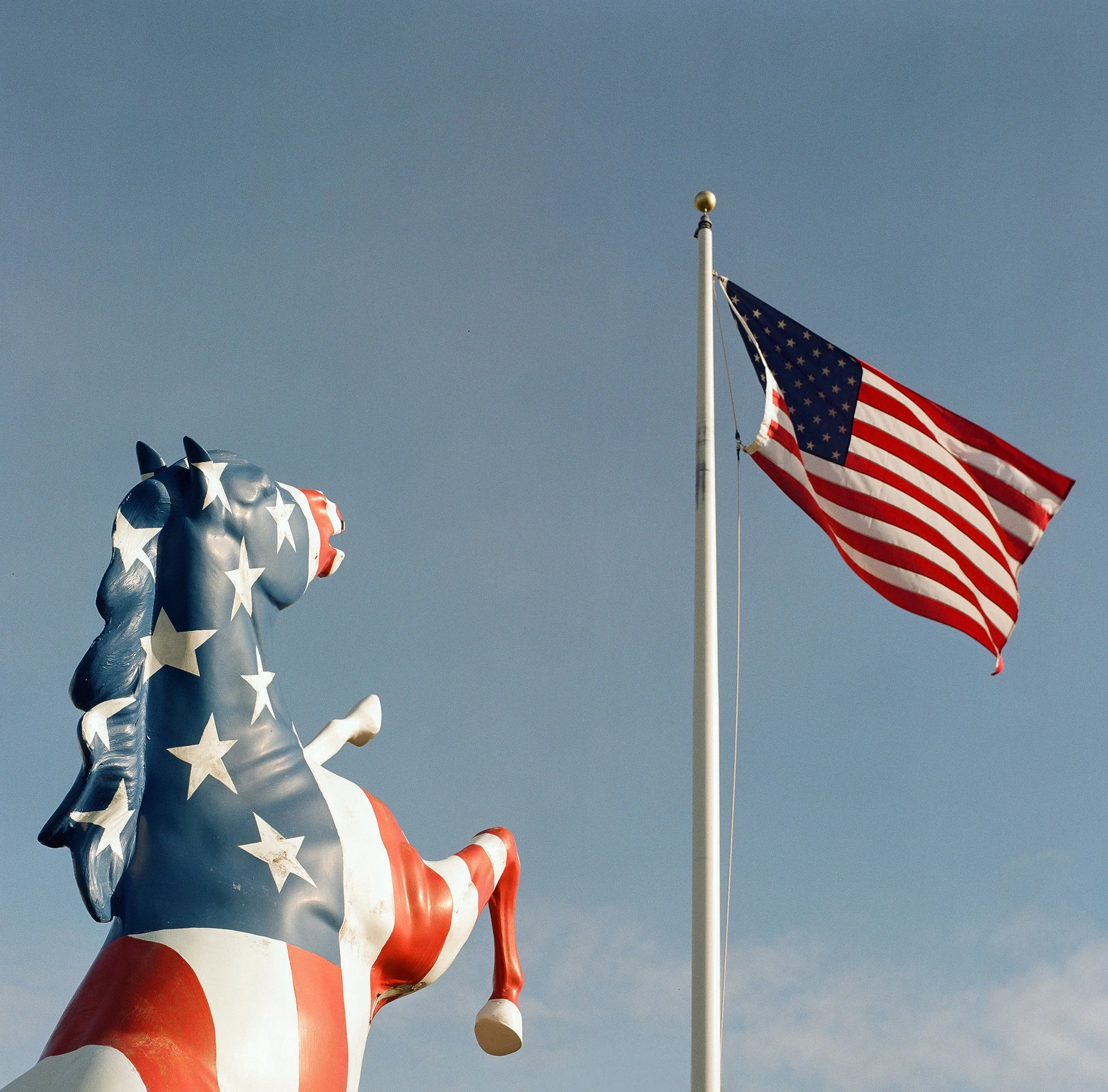 America Horse.jpg