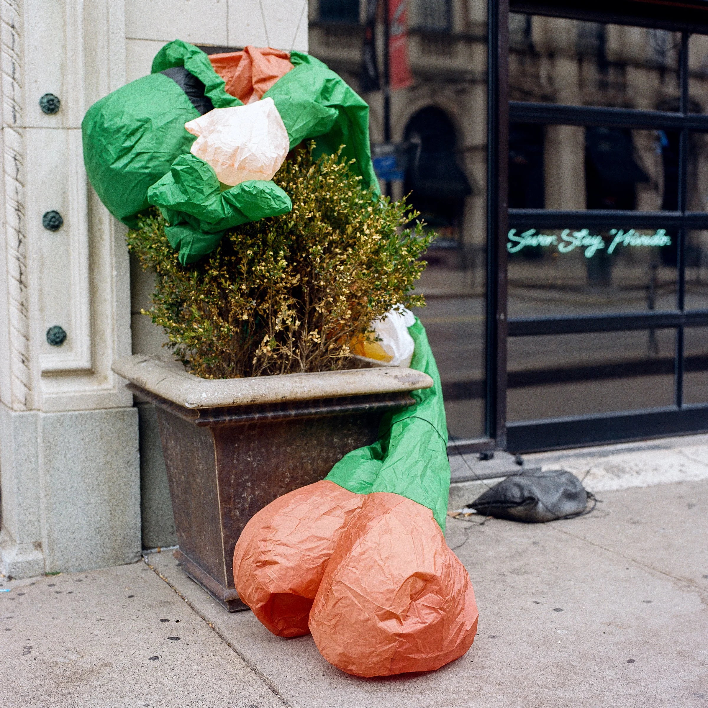 Leprechaun Morning After St. Patricks Day.jpg