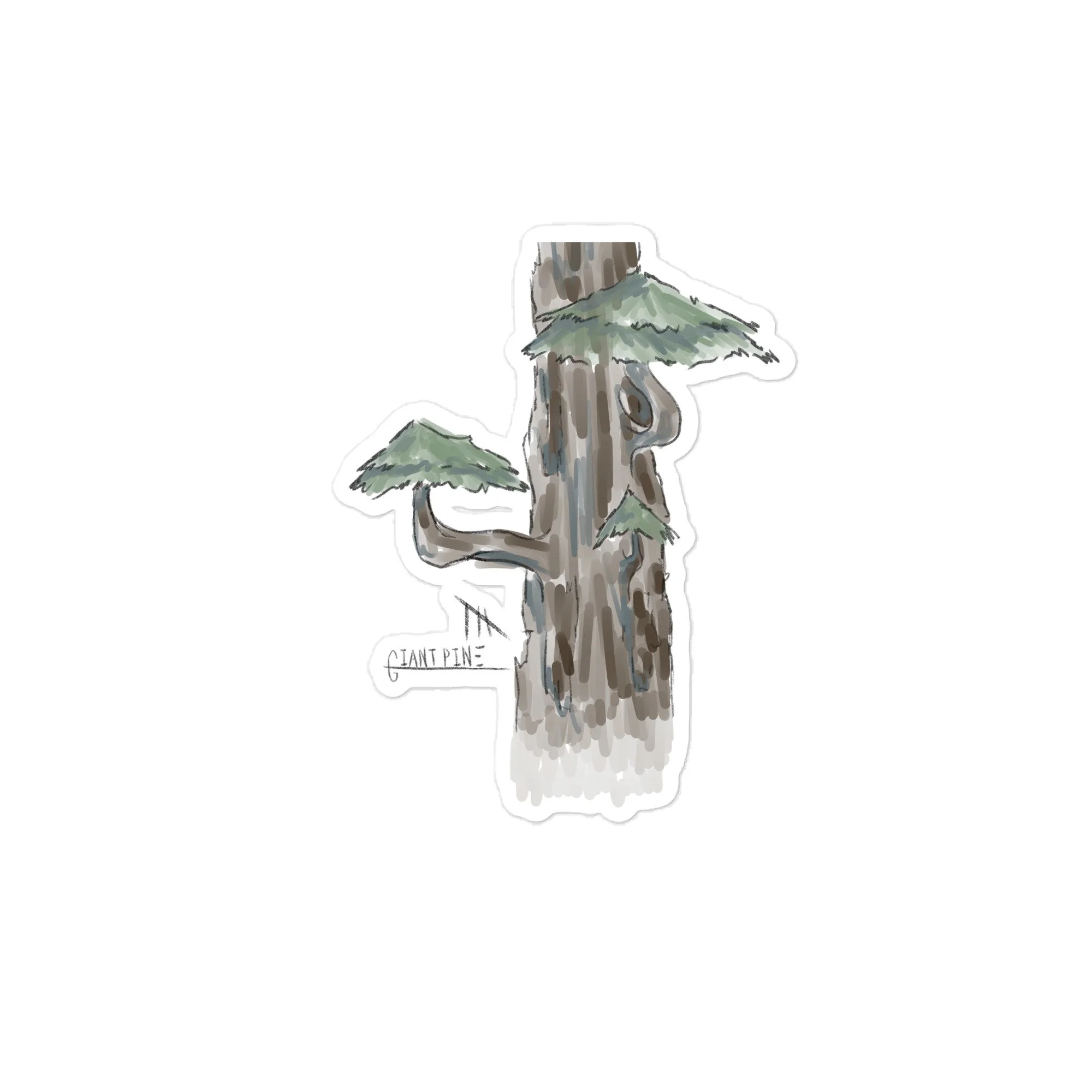 Giant Pine Sticker