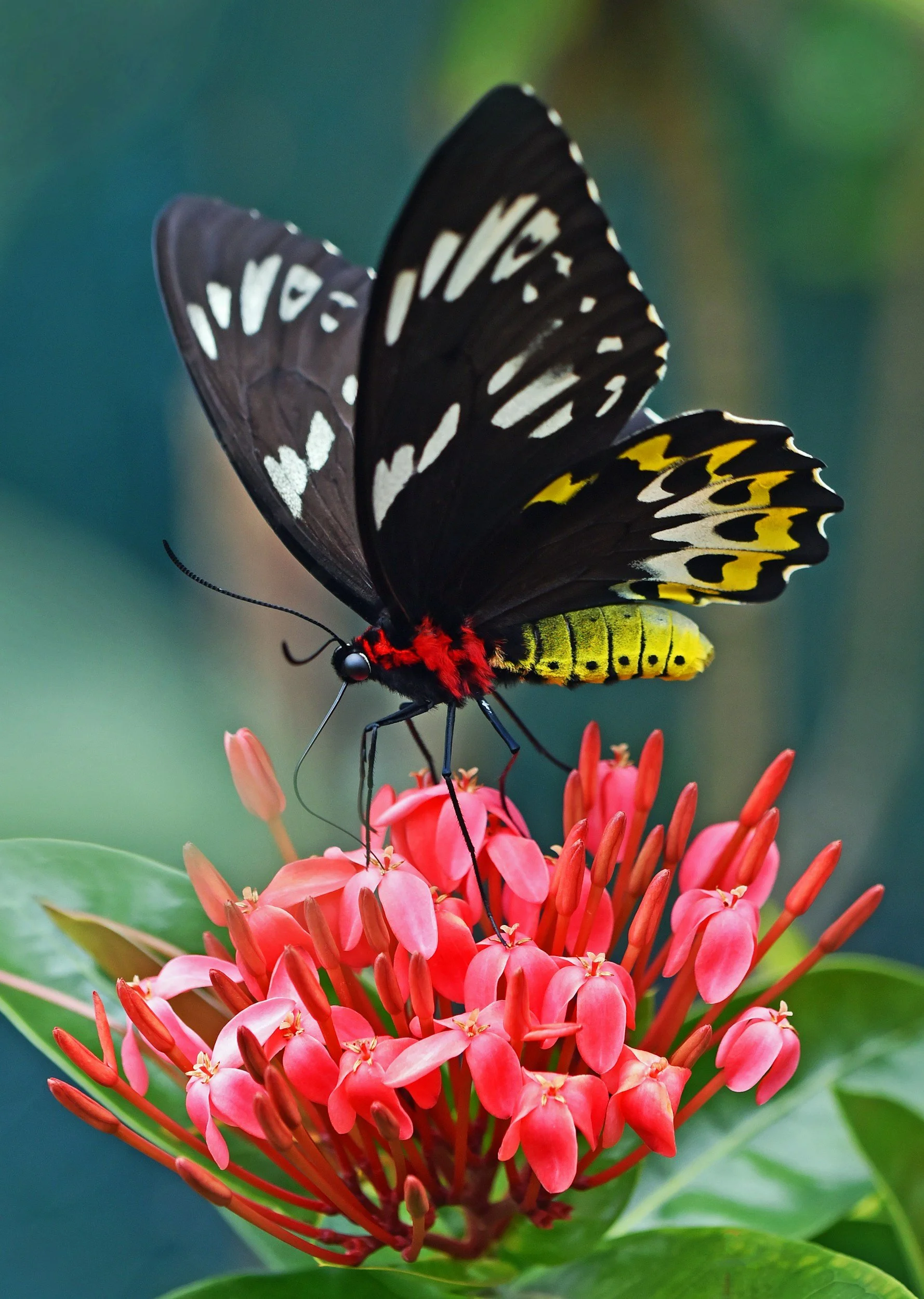 Highly Sensitive People: Understanding Sensitivity, Trauma, and Nervous System Healing