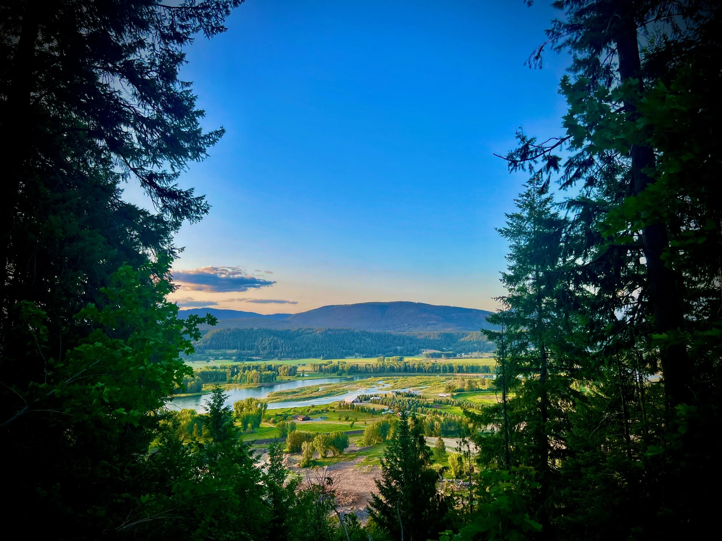 Scenic view of a river winding through lush green fields and forests, with mountains in the background under a clear blue sky.